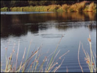 bessy beck trout fishery cumbria